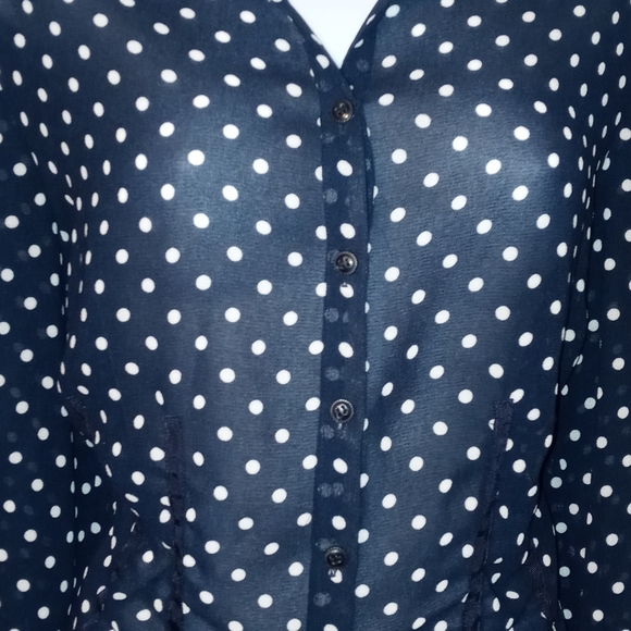 Emma James Blouse Sheer Blue White Polka Dots Size 14 - Picture 8 of 9